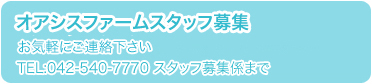 オアシスファームのスタッフ募集